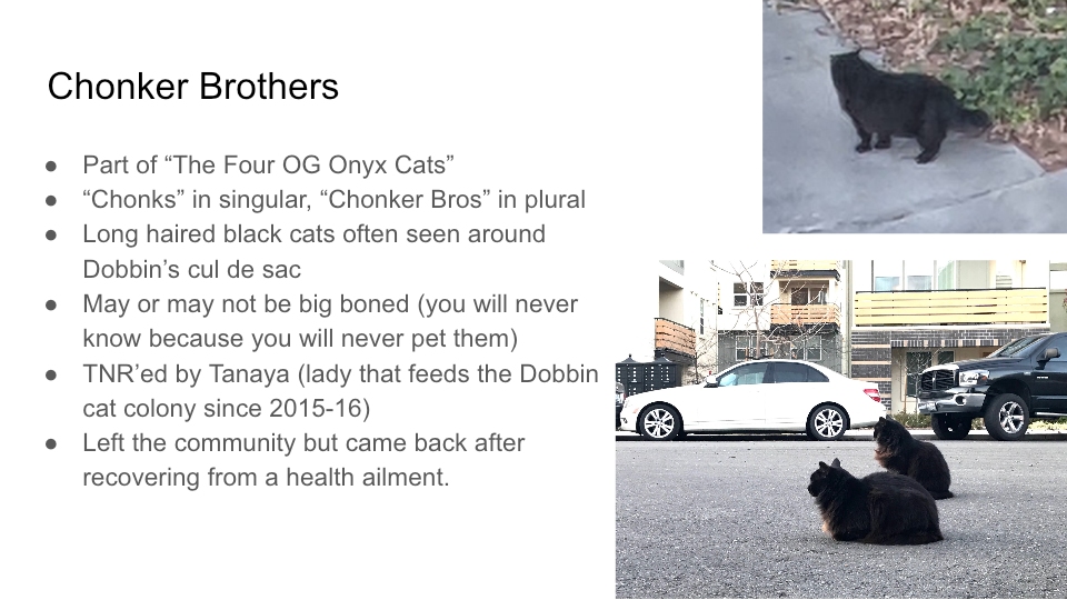FurBook slide 10: Chonker Brothers