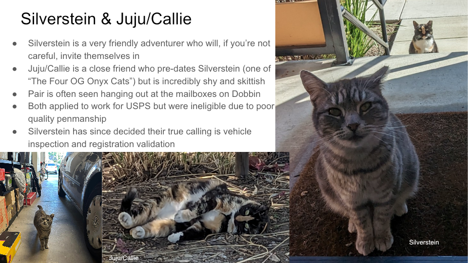 FurBook slide 11: Silverstein & Juju/Callie