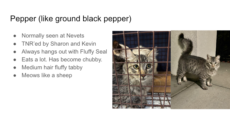 FurBook slide 17: Pepper (like ground black pepper)