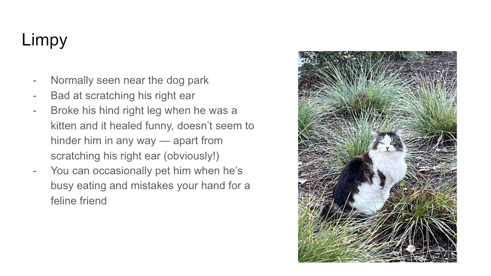FurBook slide 19: Limpy