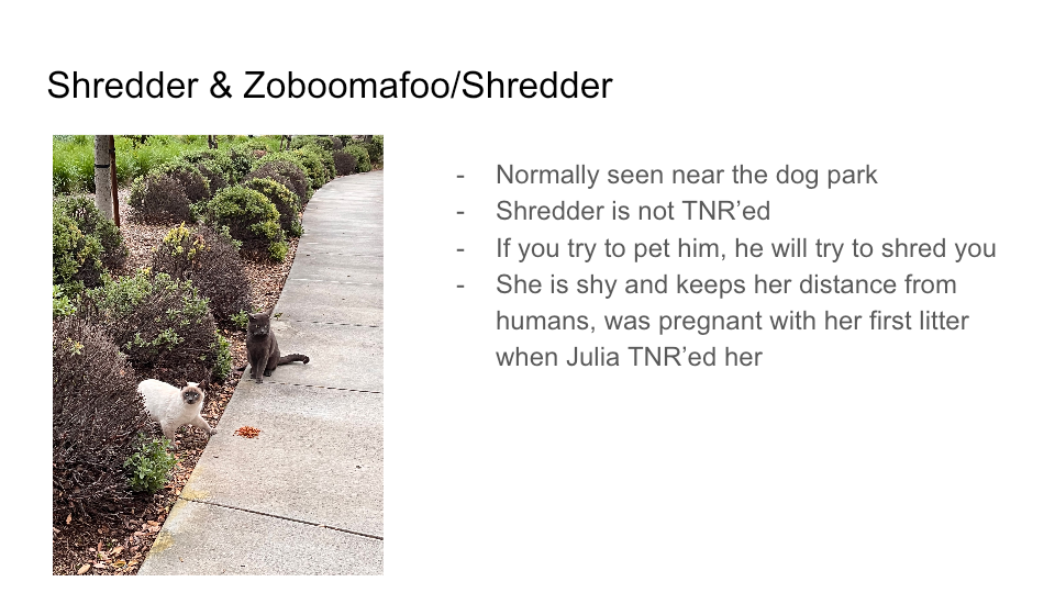 FurBook slide 20: Shredder & Zoboomafoo/Shredder