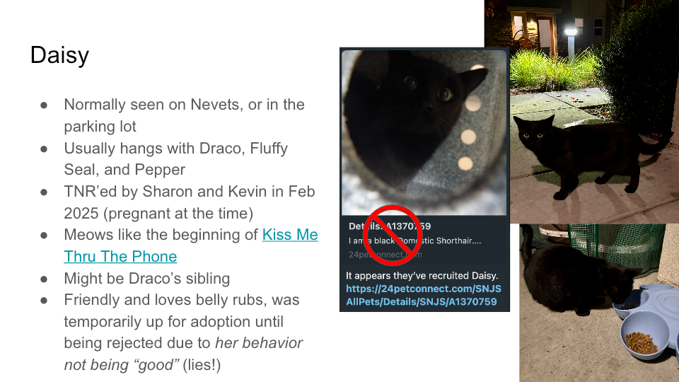 FurBook slide 24: Daisy