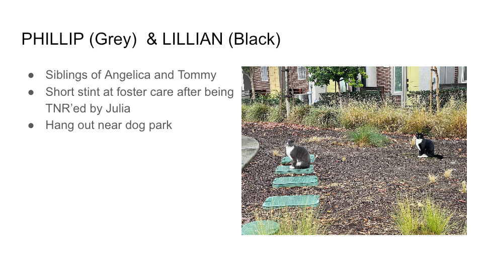 FurBook slide 26: PHILLIP (Grey) & LILLIAN (Black)