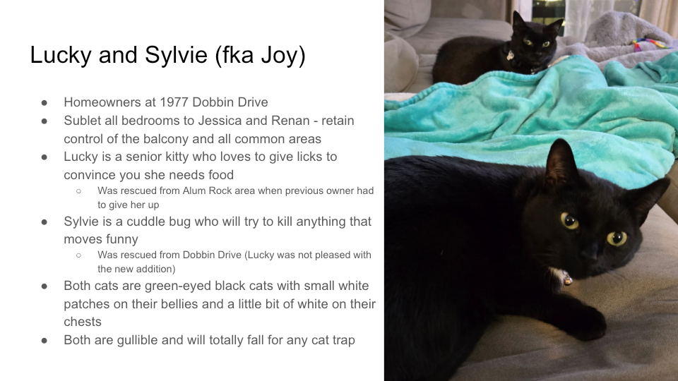 FurBook slide 34: Lucky and Sylvie (fka Joy)