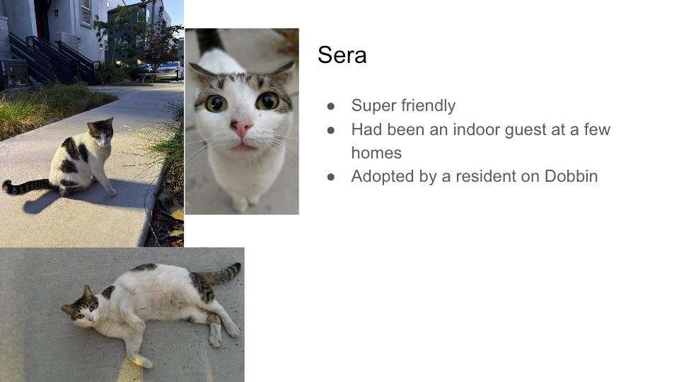 FurBook slide 36: Sera