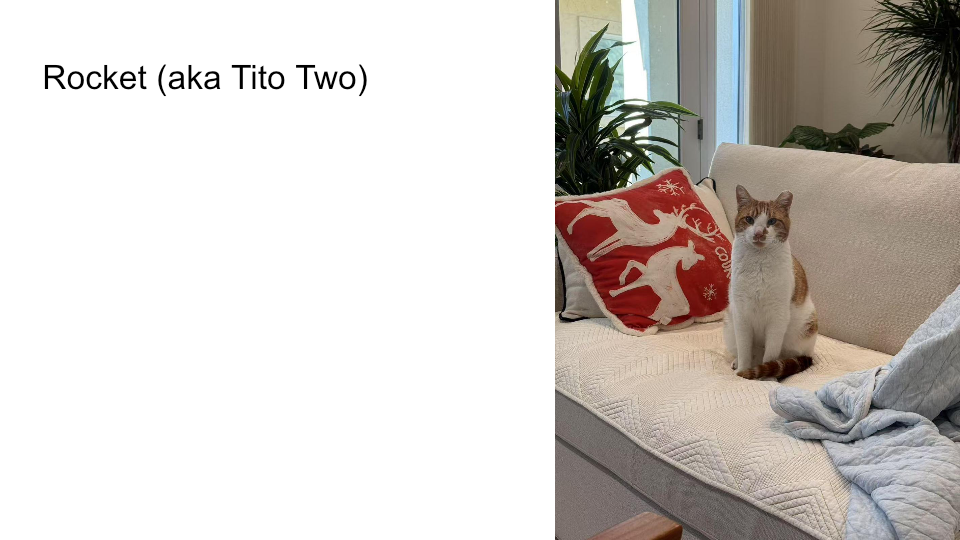 FurBook slide 42: Rocket (aka Tito Two)