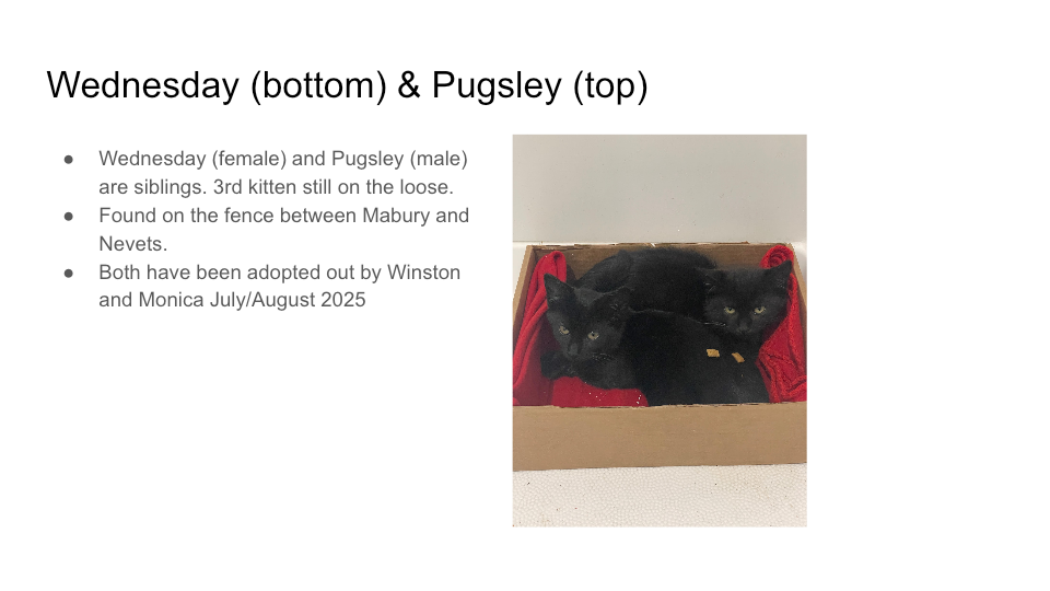 Original FurBook slide for Wednesday (bottom) & Pugsley (top)