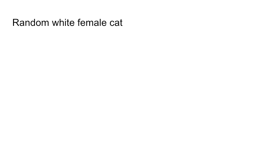 Original FurBook slide for Random white female cat