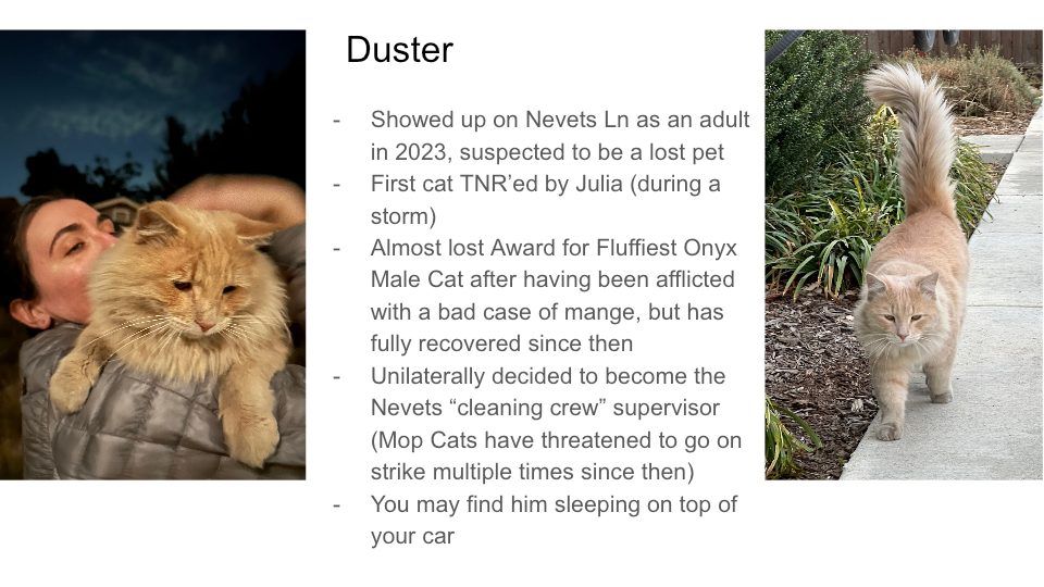 Original FurBook slide for Duster