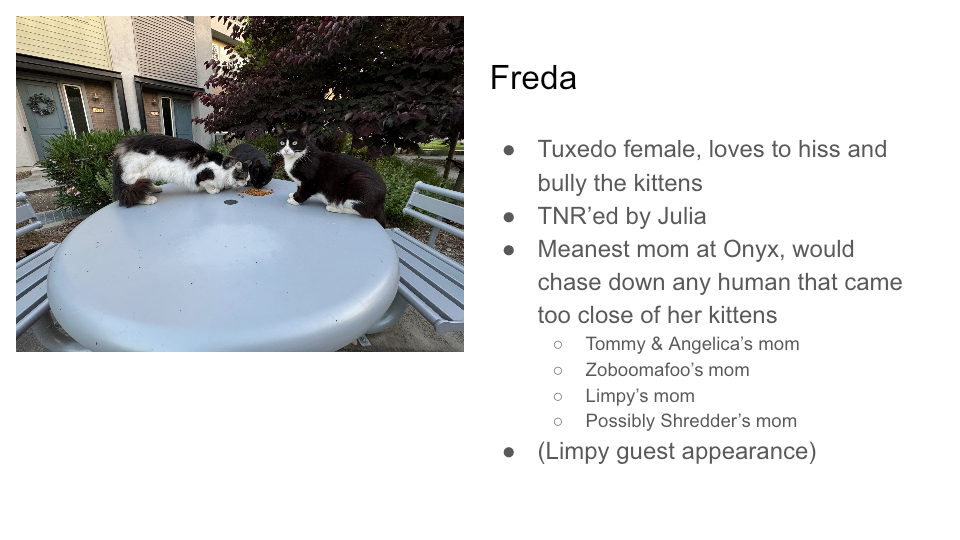 Original FurBook slide for Freda