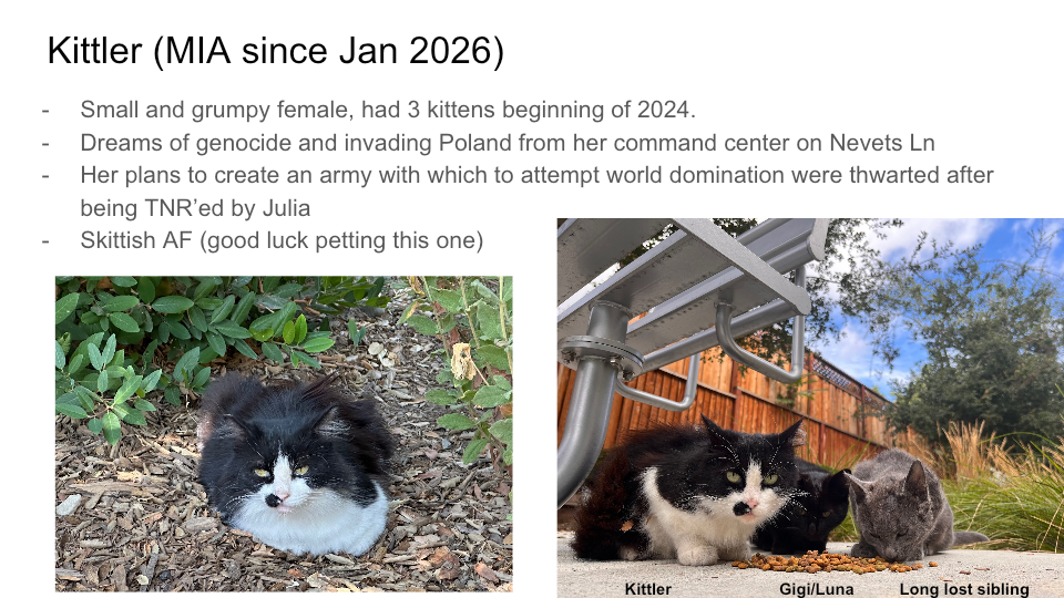 Original FurBook slide for Kittler (MIA since Jan 2026)