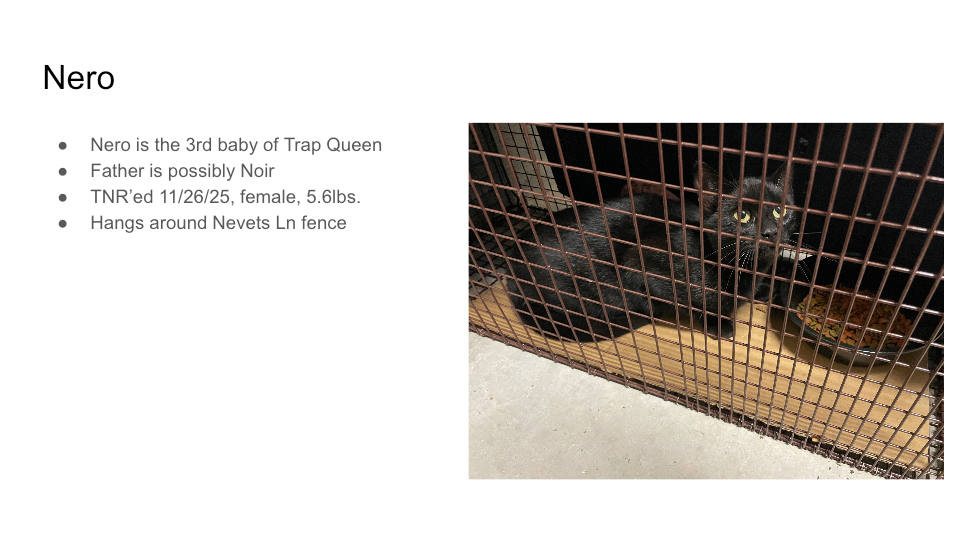 Original FurBook slide for Nero