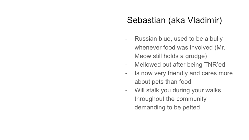 Original FurBook slide for Sebastian (aka Vladimir)