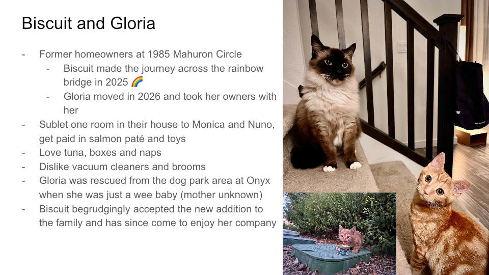 Original FurBook slide for Biscuit and Gloria
