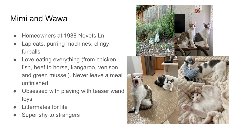 Original FurBook slide for Mimi and Wawa